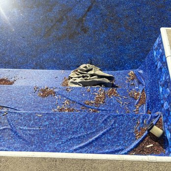 Pool Service and Management - Liner is done completely wrong - Pool & Hot Tub Service Near Me - Montclair, New Jersey Pool Service and Management - Liner is done completely wrong - Pool & Hot Tub Service Near Me - Montclair, New Jersey