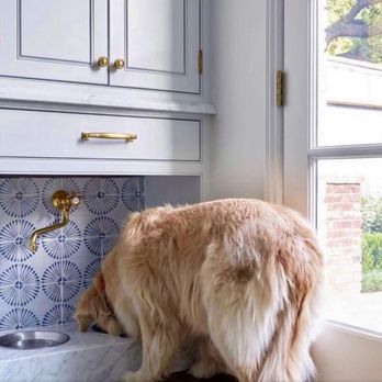 Crozier Conceptions Pet Services - Pet Sitting Near Me