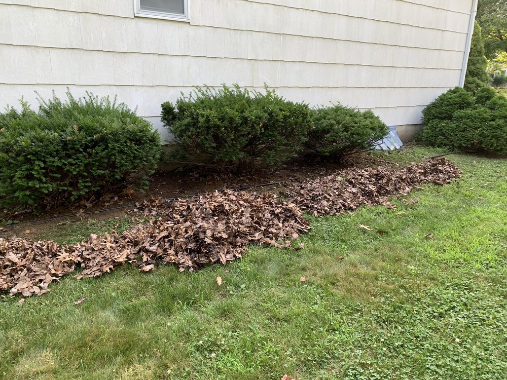 HAGE LAWN CARE Updated September 2024 Spotswood, New Jersey