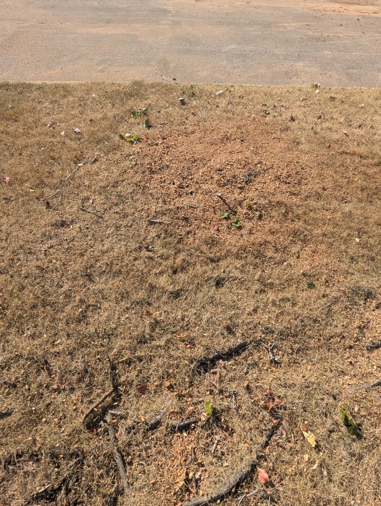 J&K Tree Service - tree service in McCalla, AL