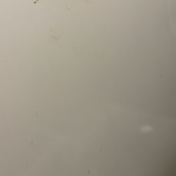 Old Navy - Feces on stall