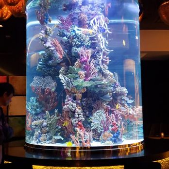 Atlantis Steakhouse - Steakhouses Near Me - RENO, Nevada Atlantis Steakhouse - Steakhouses Near Me - RENO, Nevada