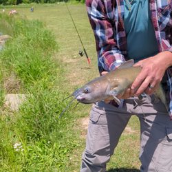 Kurtz Fish Hatchery