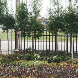 Adams Nursery