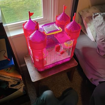 Petco - Hamster castle - Pet Stores Near Me - Everett, Washington