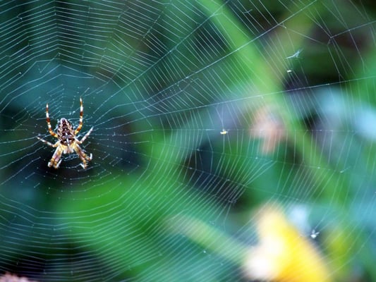Charles Jordan Community Center by null