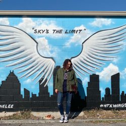 Graffiti Park - Houston Wings!