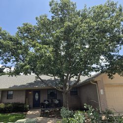 Danna Tree & Lawn Service