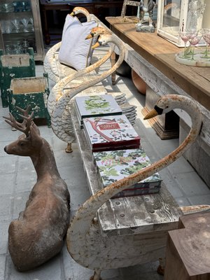 Mountain Dandy by null