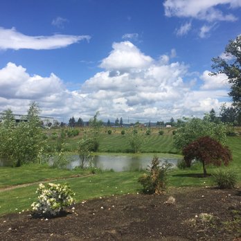 Hyland Estates - This view alone is worth the trip! - Beer, Wine & Spirits Near Me - Dundee, Oregon Hyland Estates - This view alone is worth the trip! - Beer, Wine & Spirits Near Me - Dundee, Oregon