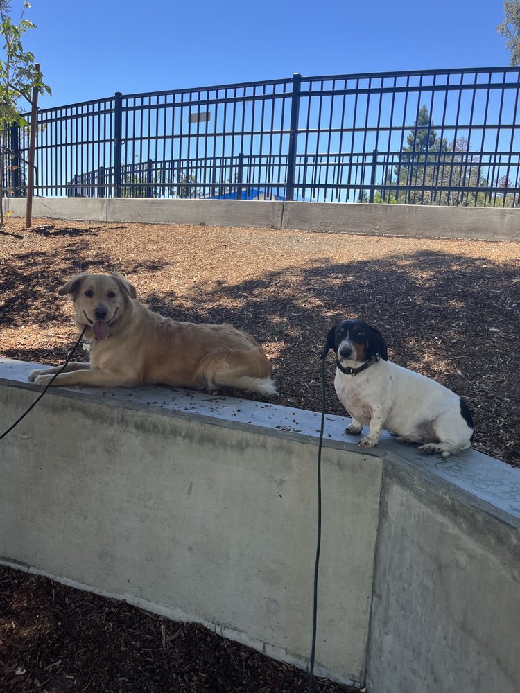 Pack Minded Training - pet boarding facility in El Dorado, CA