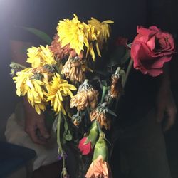 Bloomex Cambridge Flowers & Gift Baskets