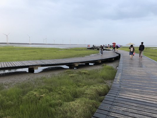 Gaomei Wetlands by null