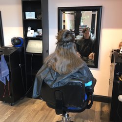 Salon 11 eleven - Before the silver all over color
