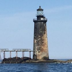Salt and Mist Sea Tours