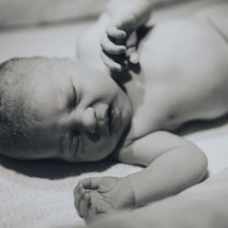 Little Rae Birth Services
