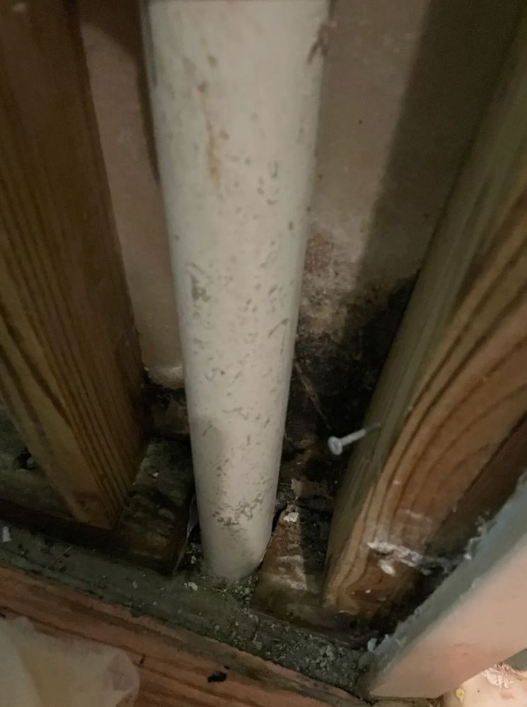 Greene's Air Quality - mold inspector in Delray Beach, FL