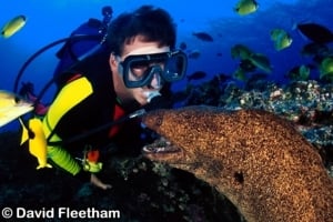 Molokini Crater by null