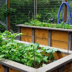 Urban Ecology - Garden Boxes