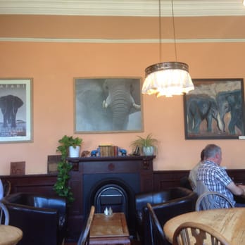 The Elephant House - Much elephants, v fun to admire details - Scottish Near Me - Edinburgh, EDH The Elephant House - Much elephants, v fun to admire details - Scottish Near Me - Edinburgh, EDH