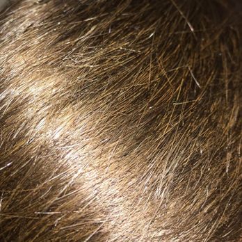 Focus Beauty Center - Hair Salons Near Me - Fremont, California Focus Beauty Center - Hair Salons Near Me - Fremont, California
