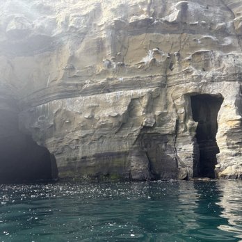 La Jolla Kayak - Caves - Tours Near Me - La Jolla, California