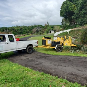 Prudent Pruning - Tree Services Near Me - Holualoa, Hawaii Prudent Pruning - Tree Services Near Me - Holualoa, Hawaii