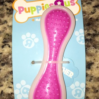 Petco - Puppy Dental Chew Bone - Pet Stores Near Me - Huntington Beach, California Petco - Puppy Dental Chew Bone - Pet Stores Near Me - Huntington Beach, California