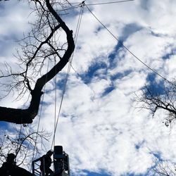 Metropolitan Forestry Services