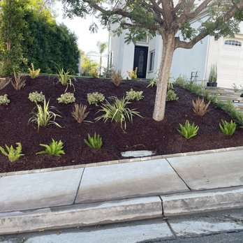 Nick's Nursery - Low water front yard in Glendale - Nurseries & Gardening Near Me - Sun Valley, California Nick's Nursery - Low water front yard in Glendale - Nurseries & Gardening Near Me - Sun Valley, California