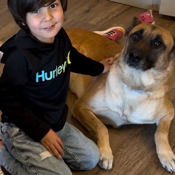 Allie & Paws - Our son Bader with Rollo. - Pet Groomers Near Me - Downey, California