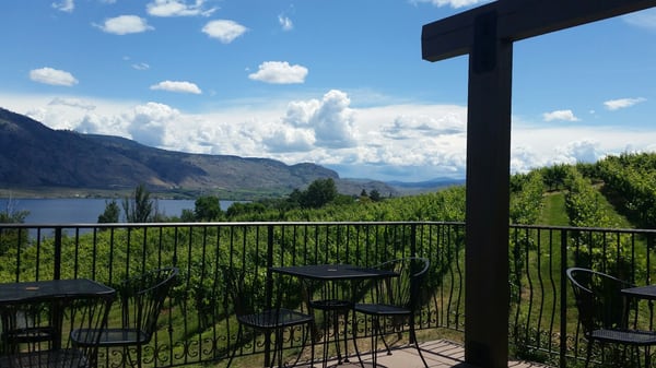 La Stella Winery by null