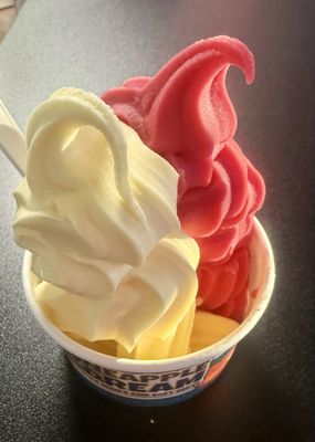 Pineapple Dream by null