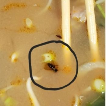 Pho Long Beach - Do you guys see this fly in my Pho? - Vietnamese Near Me - Long Beach, California Pho Long Beach - Do you guys see this fly in my Pho? - Vietnamese Near Me - Long Beach, California
