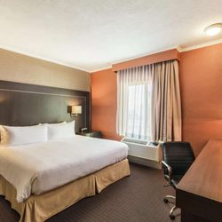 Double Tree by Hilton - Guest room