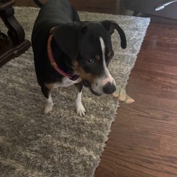 Radar