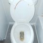 Photo of Wi&Gi Cleaning Services