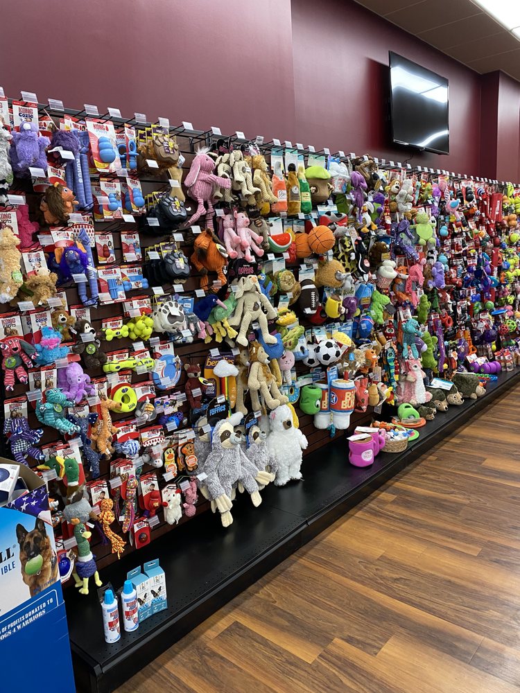 HOME TOWNE PET SHOPPE Updated August 2024 10 Photos 55 Wanaque