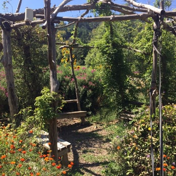Gathering Together Farm - On-site flower garden - Farmers Market Near Me - Philomath, Oregon