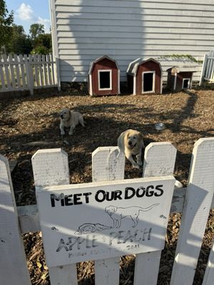 Terhune Orchards by null