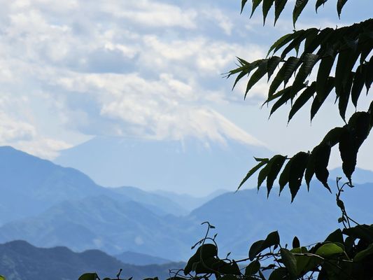 Mount Takao by null