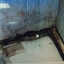 Photo of All Aspects Waterproofing