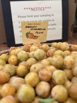 Andy's Orchard by null