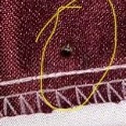 El Cajon Inn & Suites - Bed bug
