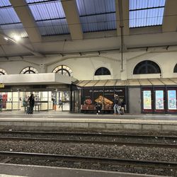 Gare SNCF de Reims - Train platform.
