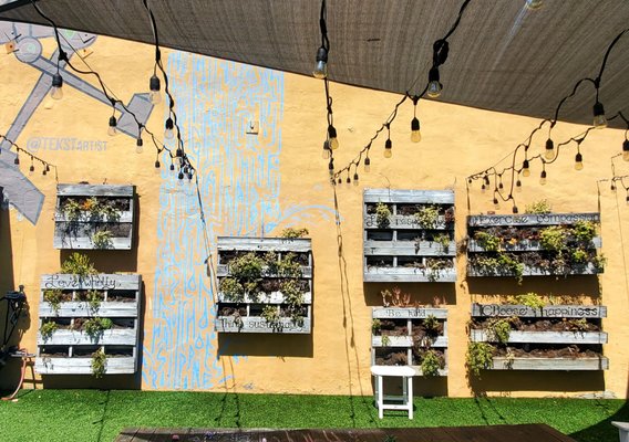 Choice Juicery by null