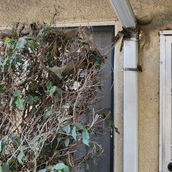 Golden Bee Management - Kindling and spiderwebs. - Property Management Near Me - Los Angeles, California