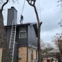 Quality Tree Service