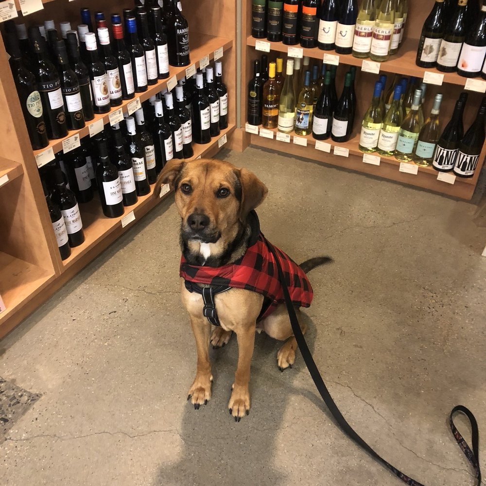 Bottles Fine Wine - Beer, Wine & Spirits Near Me - Providence, Rhode Island Bottles Fine Wine - Beer, Wine & Spirits Near Me - Providence, Rhode Island