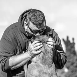 Focused Dog Training
